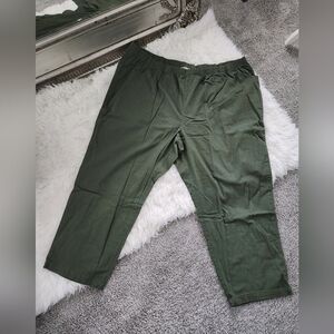 Women Within Pull on easy pants. Olive Green. Size 36W. New without tags.
